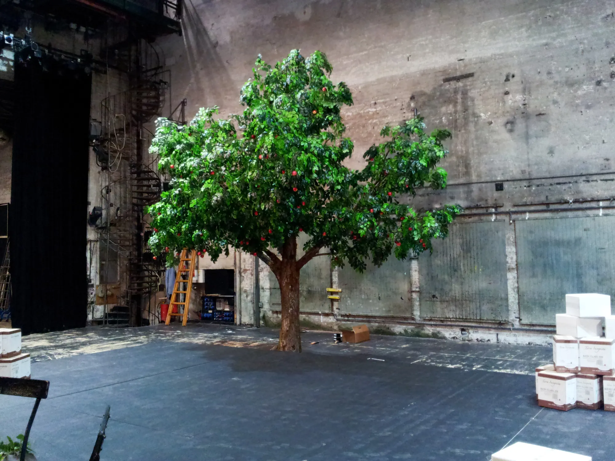 Apfelbaum-Sonderbau Akademietheater